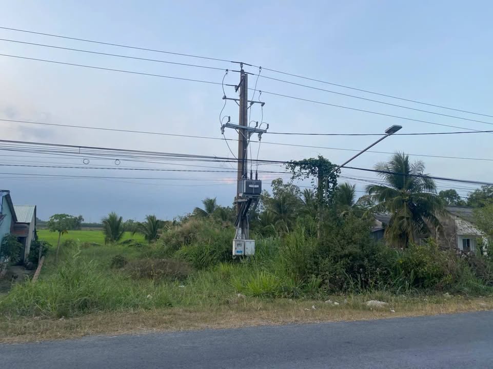 Đất nền mặt tiền Huyện lộ 56, Cần Thơ 270m² - Giá 1.1 tỷ, đầu tư sinh lời!