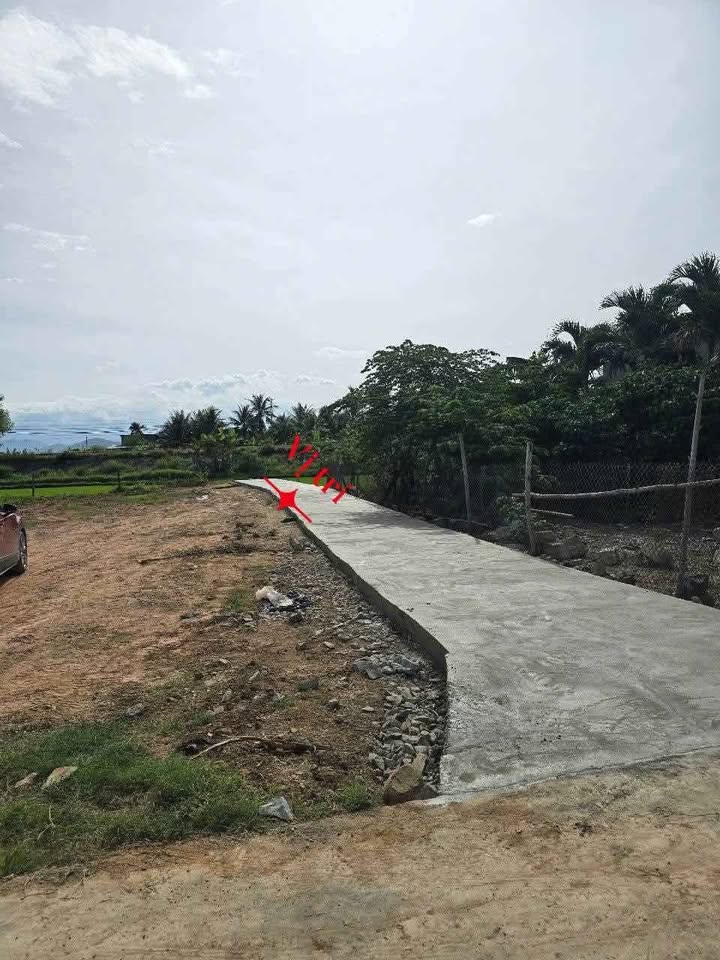 Đất thổ cư Ninh Quang, Ninh Hòa 96m² giá 350 triệu - Cơ hội đầu tư tuyệt vời!