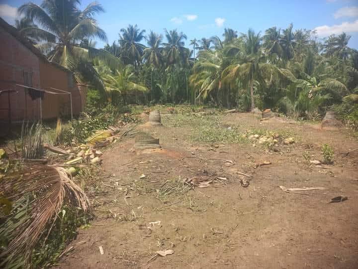 Đất thổ cư ấp Thung, xã Thạnh Ngãi, 1003m² giá 600 triệu - Cơ hội đầu tư tuyệt vời!