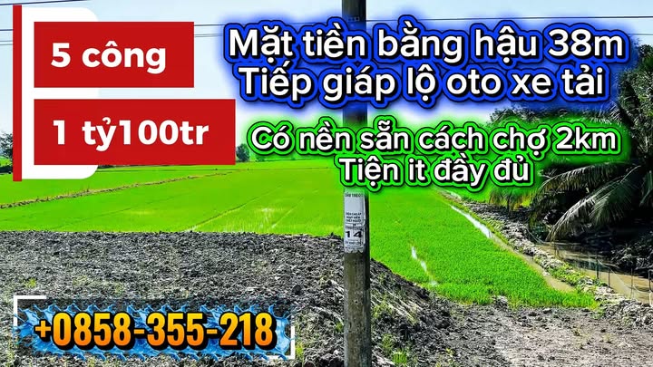 Đất nền 50.000m² mặt tiền lộ ô tô tại Xã Bình Hòa Trung, Huyện Mộc Hóa - Cơ hội đầu tư tuyệt vời!