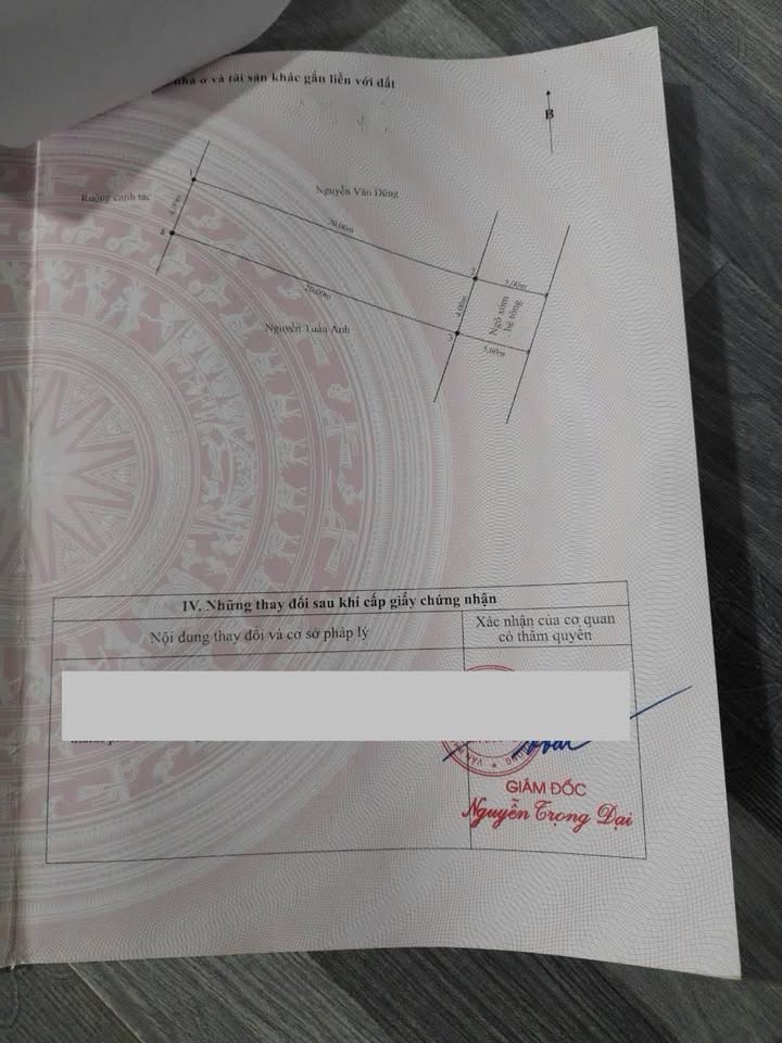 Bán lô đất mặt tiền đường Tràng Duệ, Quận An Dương, 80m² - Giá 200 tỷ, Khu vực dân cư đông đúc