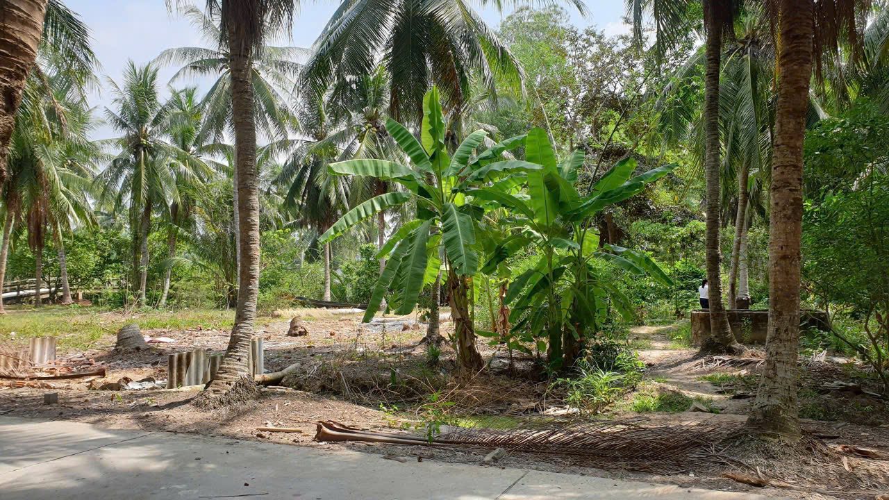 Đất nền mặt tiền đường Đang, xã Châu Hưng, 160m² giá 230 triệu - Sổ đỏ chính chủ!