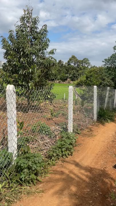 Đất farm sầu riêng 1ha tại xã Cư Suê, Đắk Lắk - Giá chỉ 4.3 tỷ VND