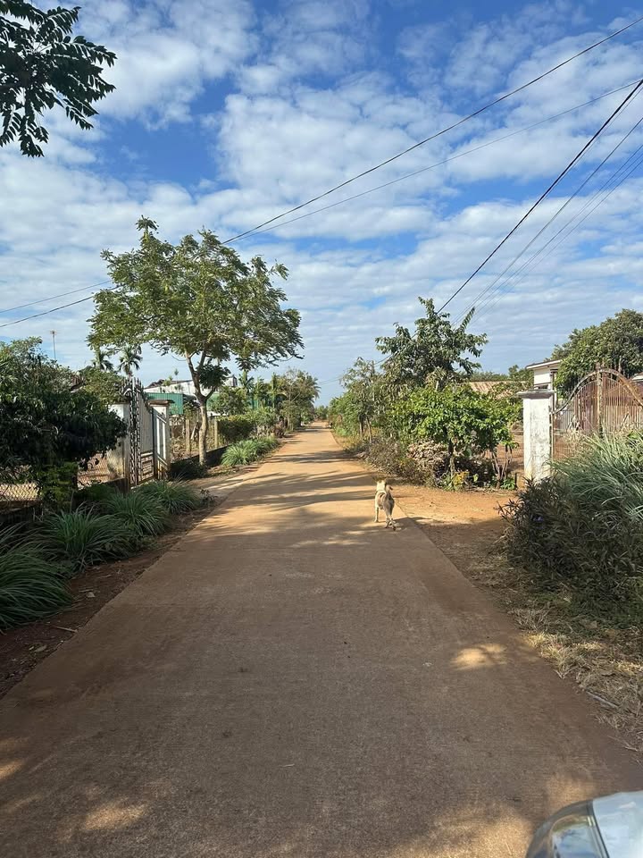 Đất thổ cư Xã Quảng Phú 335m² giá 750 triệu - Sẵn sàng xây dựng ngay!