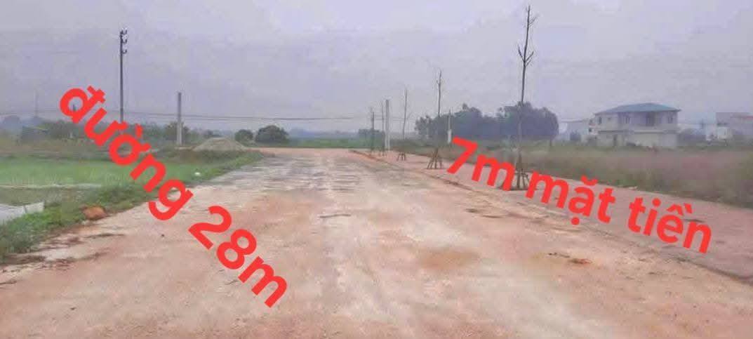 Đất nền xã Hội Thịnh, huyện Tam Dương, 126m² giá 2 tỷ - Kinh doanh lý tưởng!