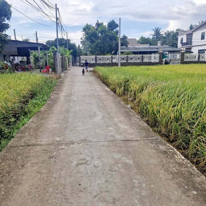 Đất thổ cư 937m² tại Ấp Bình Cang 1, Thủ Thừa, Long An – Giá 1.4 tỷ, thương lượng ngay!