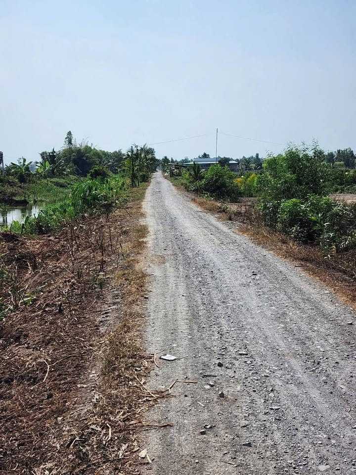 Đất vườn Mỹ Thạnh Tây 372m² giá 1.25 tỷ - Sổ đỏ chính chủ, mặt tiền kênh lớn!