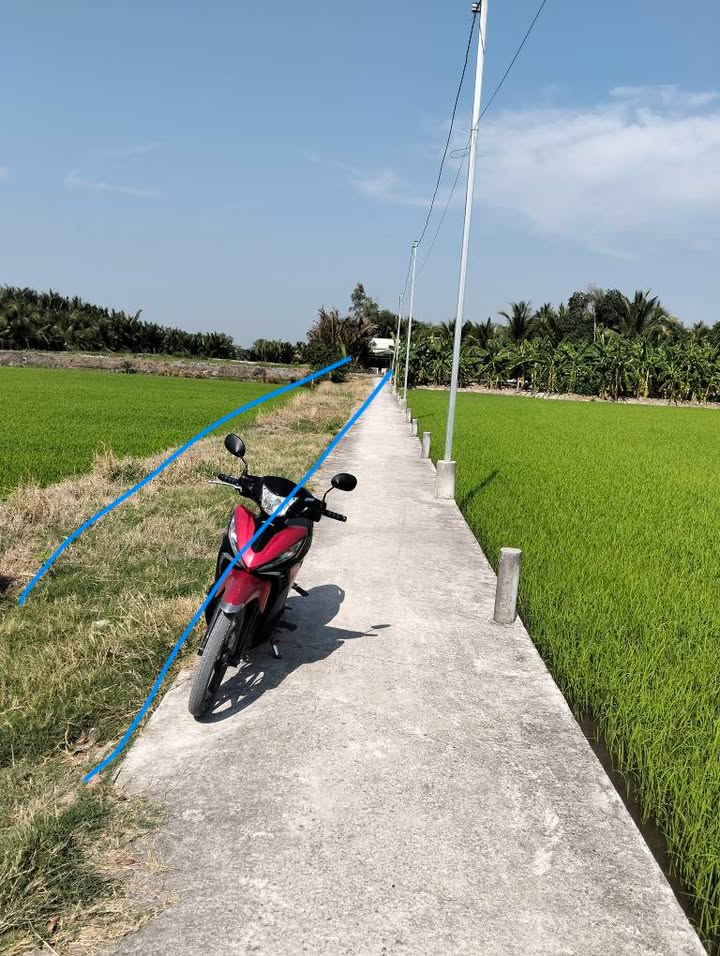 Đất lúa 10.000m² xã Mỹ Phú, Thủ Thừa - Giá 500 triệu, cơ hội đầu tư hiếm có!