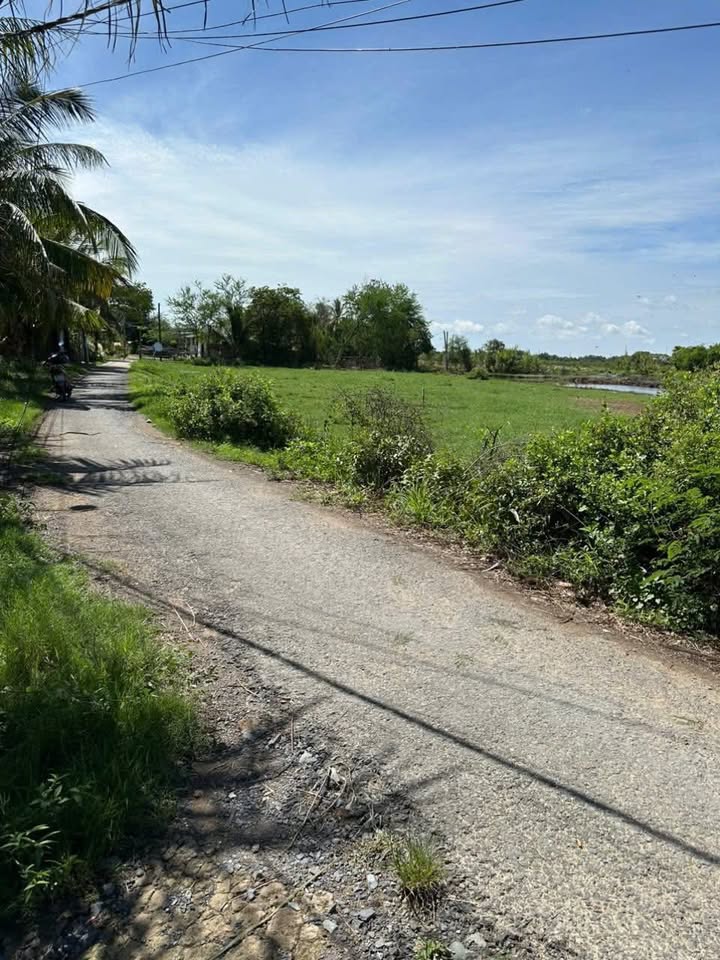 Đất mặt tiền đường bê tông Ấp Thuỷ Hoà, 2600m² giá 60 triệu/m ngang - Đầu tư sinh lời!