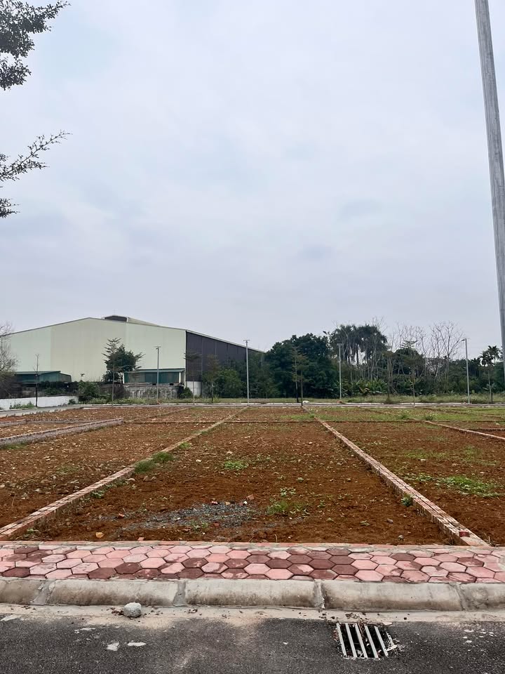 Đất Phú Cát, Huyện Quốc Oai, 100m² giá 400 triệu - Sổ đỏ trao tay, xây ngay!