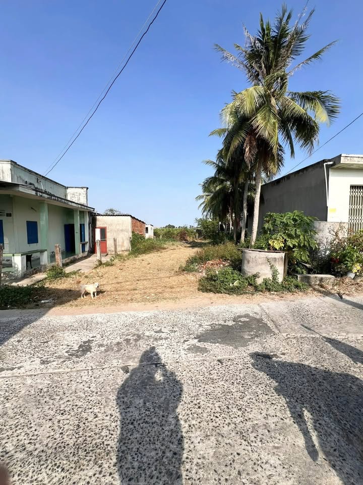 Đất mặt tiền bê tông thôn Phú Mỹ, xã Tuyên Quang, 241m² - Giá chỉ 1 tỷ!