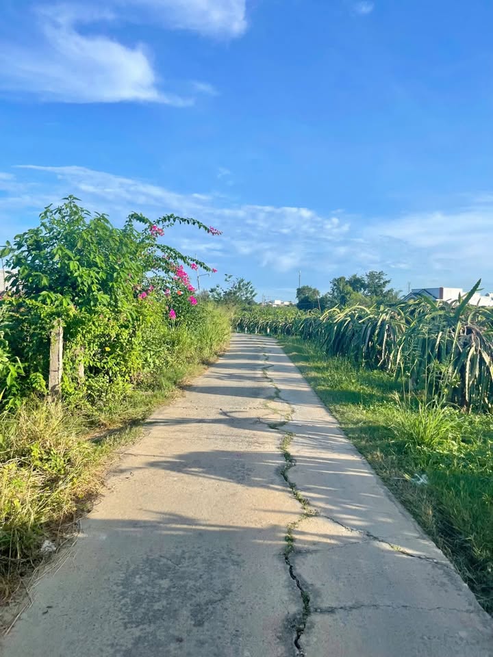 Đất nông nghiệp hai mặt tiền tại Thôn Phú Nhang, Bình Thuận - Giá chỉ 1 tỷ!