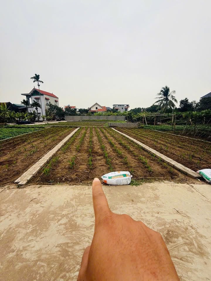 Nhà riêng Chương Lộc, Thường Tín 64.6m² giá 3.97 tỷ - Đường ô tô đỗ cửa, đón tài lộc!