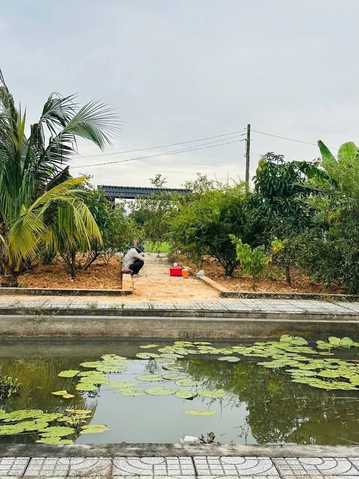 Đất vườn Củ Chi 500m² giá 2.6 tỷ - Sổ hồng chính chủ, đường xe hơi