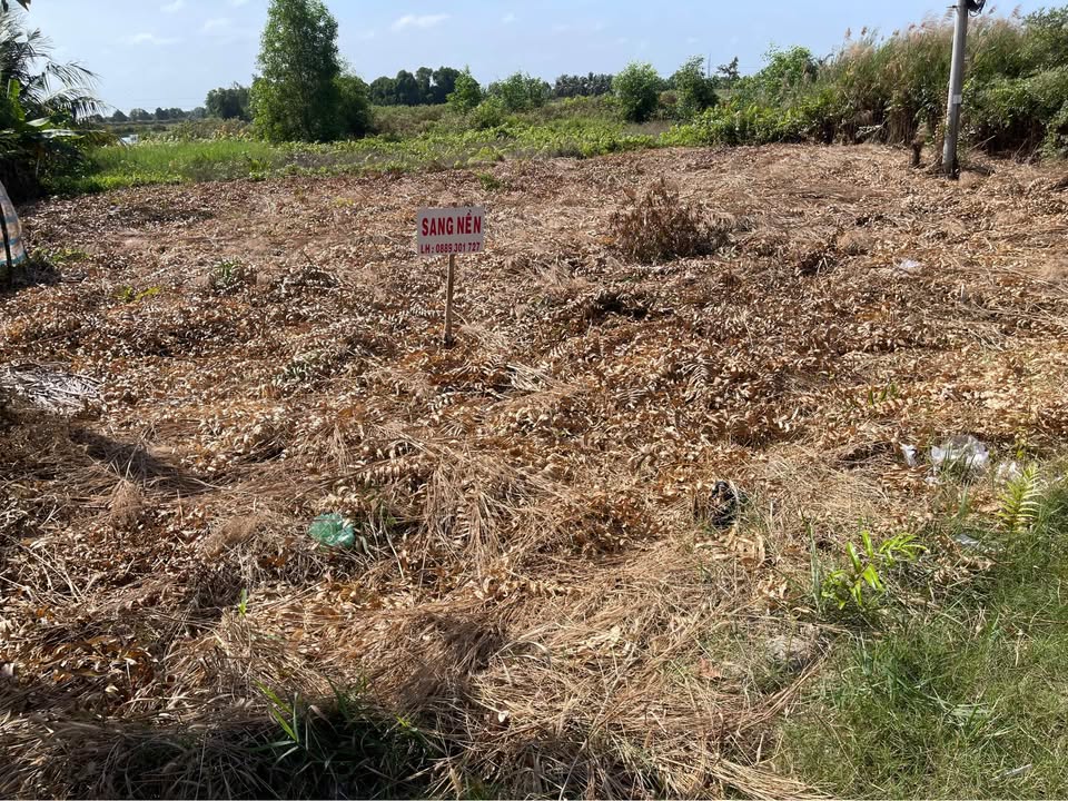 Đất mặt tiền đường Quản Lộ Phụng Hiệp 733m² giá 73.3 tỷ - Cơ hội đầu tư hấp dẫn!