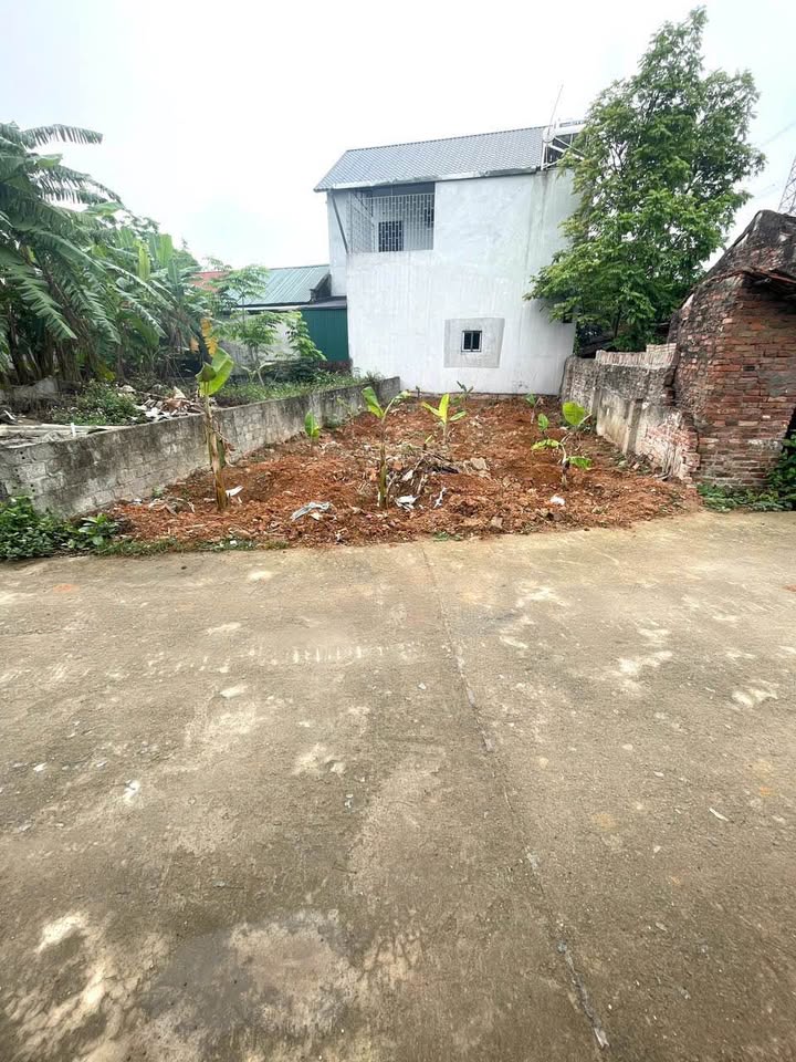 Đất thổ cư 50m² tại Chùa Vàng, Minh Quang, Tam Đảo - Cơ hội đầu tư lý tưởng!