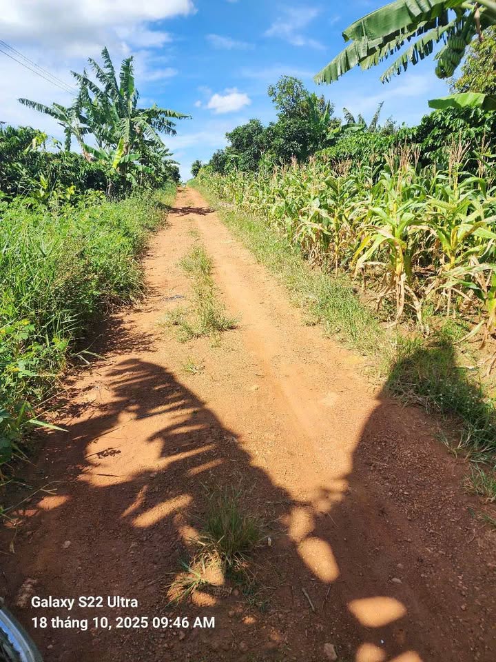 Đất nền 4,1 sào tại Lộc An, Bảo Lâm - Giá chỉ 2,4 tỷ, thương lượng chính chủ!