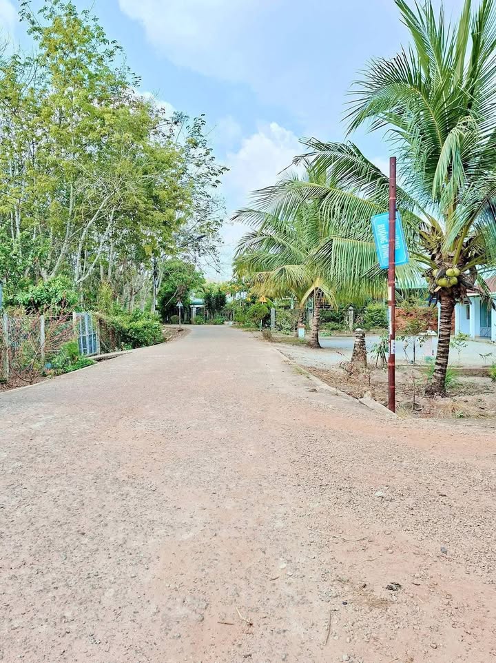 Đất thổ cư Phước Sang - Phú Giáo 272m² giá 550 triệu - Cơ hội đầu tư hấp dẫn!