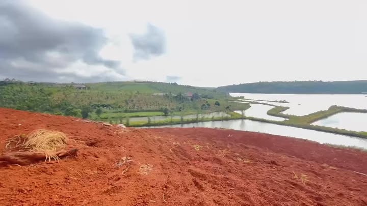 Đất thổ cư 1ha tại Thôn 8, Xã Thuận Hà, Đắk Song - Giá sốc chỉ 1.1 tỷ!