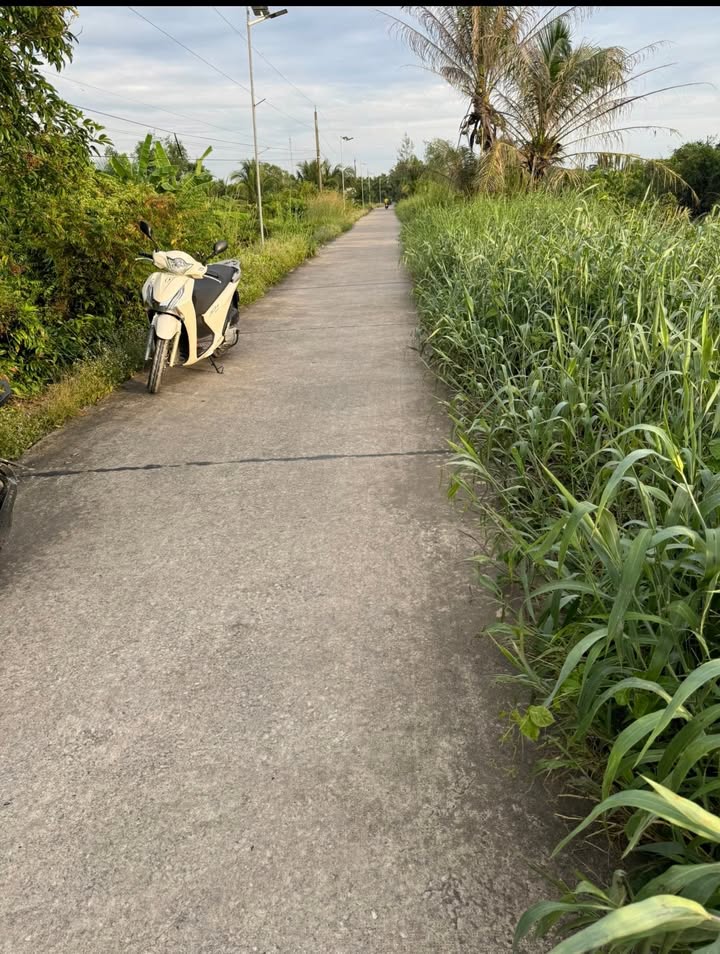 Đất vườn Bến Lức 3700m² giá 4.7 tỷ - Đầu tư sinh lợi cao!