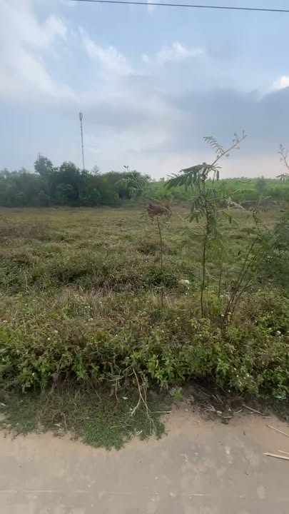 Đất thổ cư thôn 10 Quỳnh Châu, 300m² giá 1 tỷ - Đầu tư sinh lời cao!