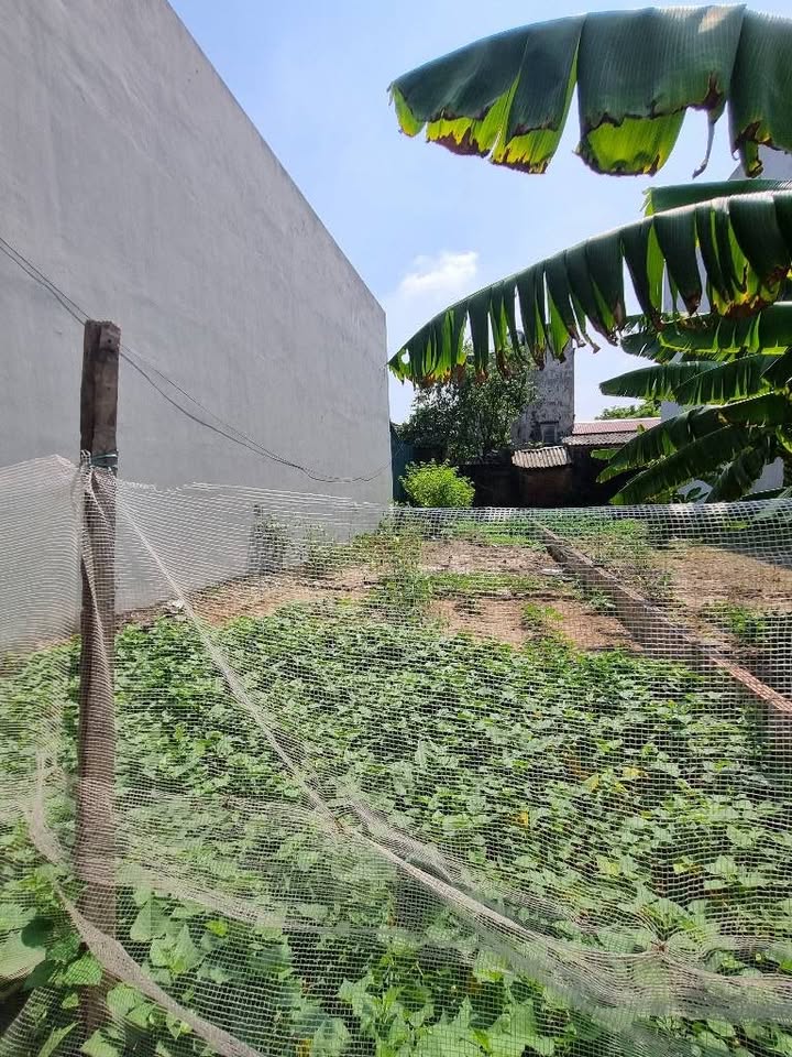 Đất thổ cư Đông Hội, Đông Anh 103m² giá chỉ 2 tỷ - Đường ô tô vào tận nơi!