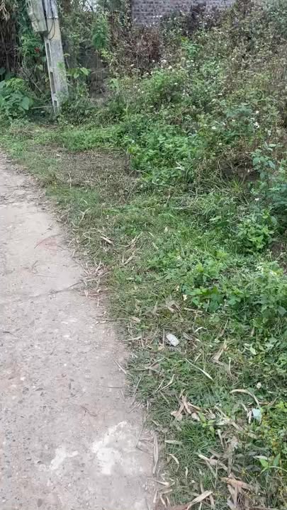 Đất thổ cư tại Quang Trung, Bắc Ninh 112m² giá 440 triệu - Mặt tiền rộng, nở hậu!