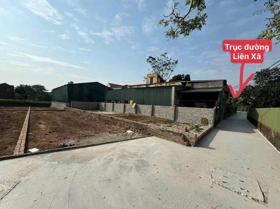 Đất nền Tự Nhiên, Thường Tín 101m² giá 4 tỷ - Vị trí đắc địa, giao thông thuận lợi!