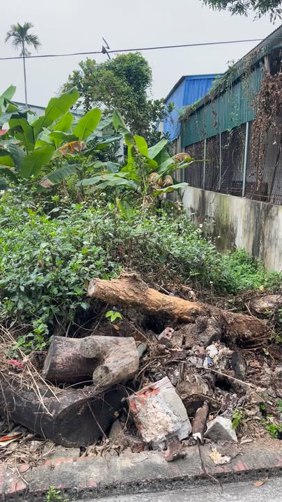 Đất nền Kim Thành, Hải Dương 117m² chỉ 1.5 tỷ - Cơ hội đầu tư tuyệt vời!