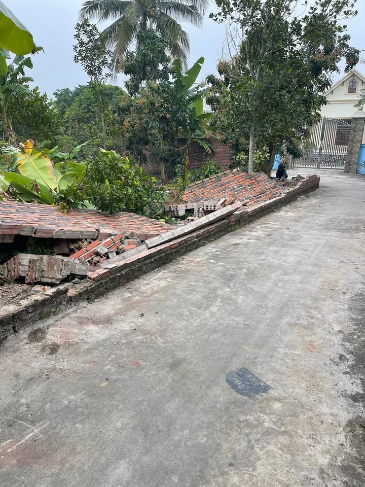 Đất nền lô góc 100m² xã An Thành, Kim Thành chỉ 100 triệu - Cơ hội đầu tư hấp dẫn!