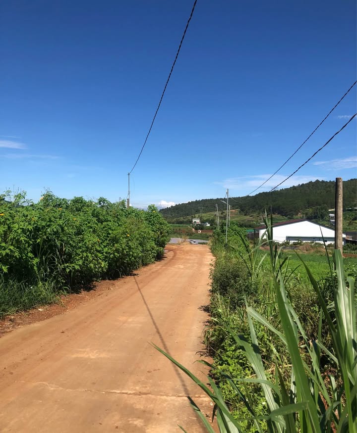 Đất nền Đạ Ròn 2400m² giá 4.5 tỷ - Cơ hội đầu tư hấp dẫn!