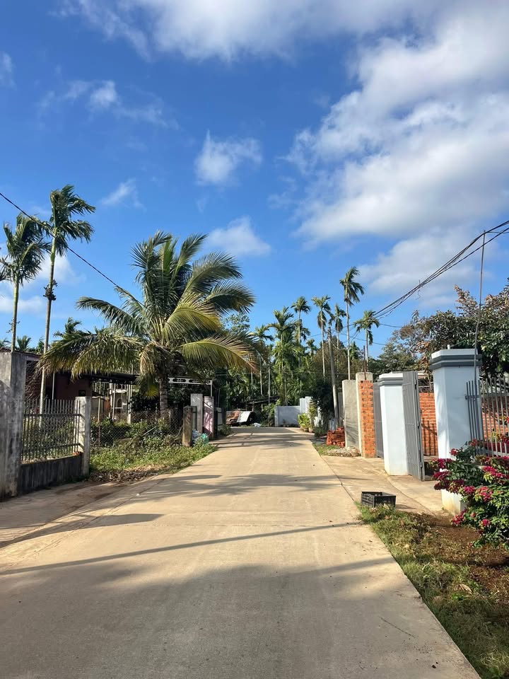 Đất nền thôn 2A, xã Ea Ktur, huyện Cư Kuin, 180.9m² - Giá tốt, bớt lộc!