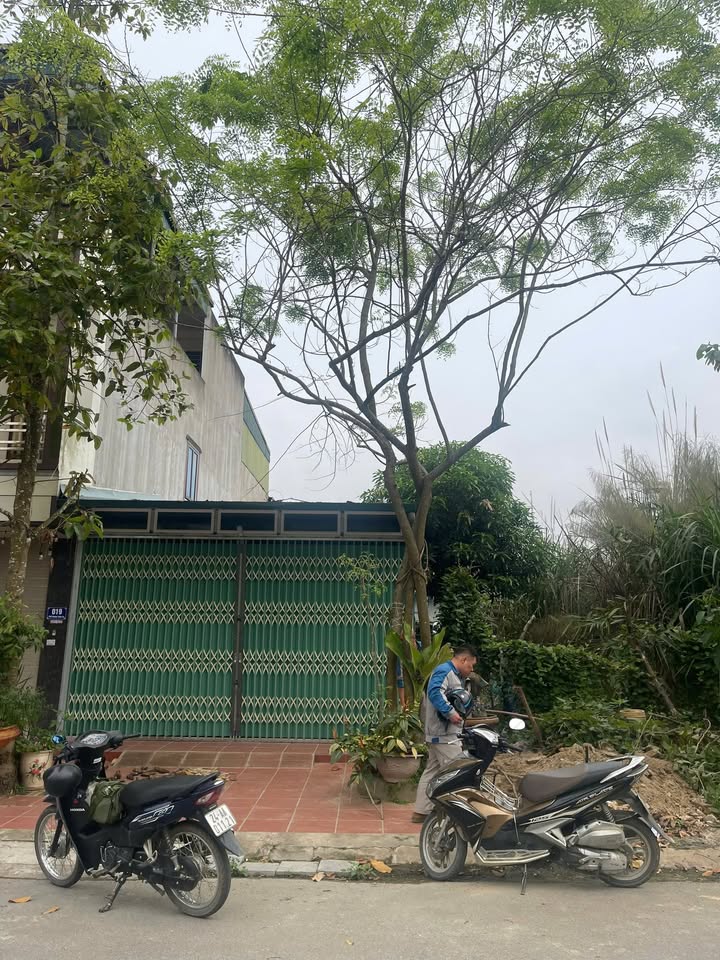 Đất nền Phường Khương Trung, Quận Thanh Xuân, 100m² giá 3 tỷ - Cơ hội đầu tư hấp dẫn!