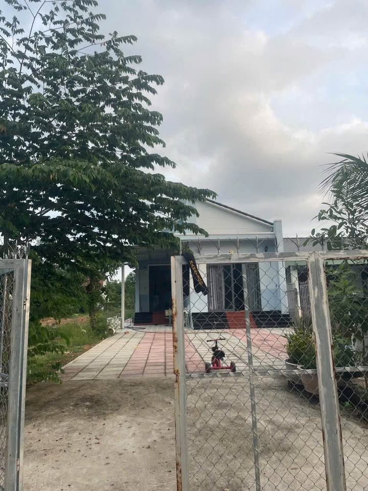 Nhà mái thái quận Tân Phú 509m² giá 3 tỷ - Đối diện KCN Tân Bình!