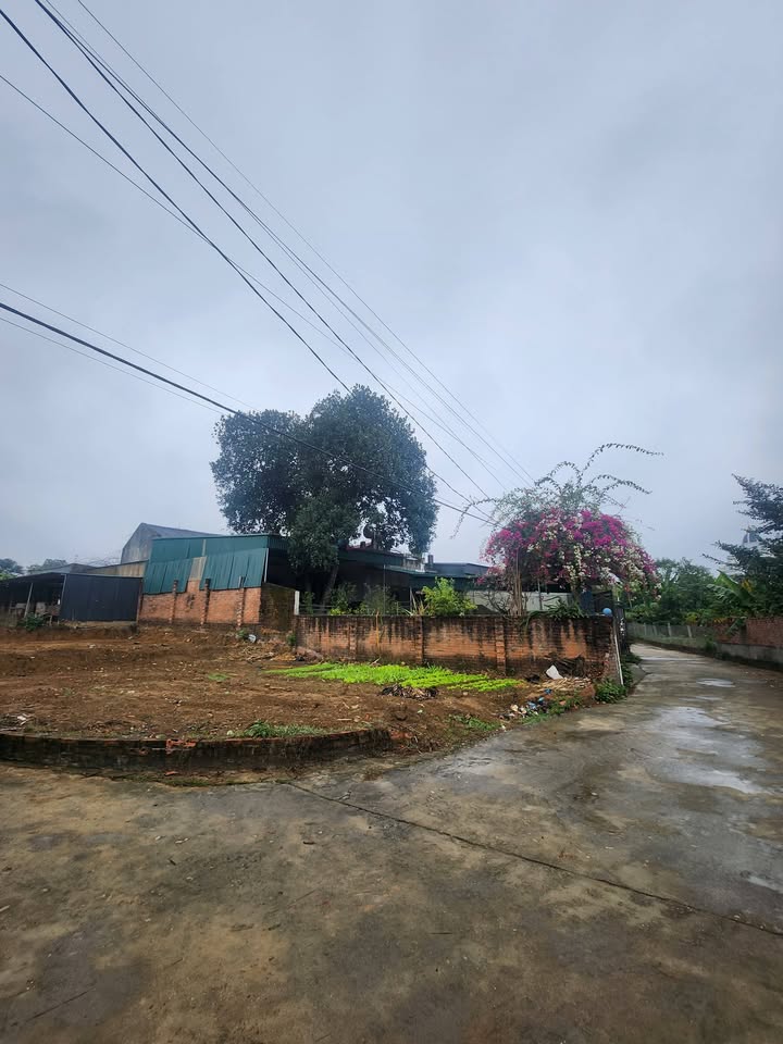 Đất nền lô góc phường Việt Trì 99.2m² giá 2x tỷ - View hồ Hương Trầm tuyệt đẹp!