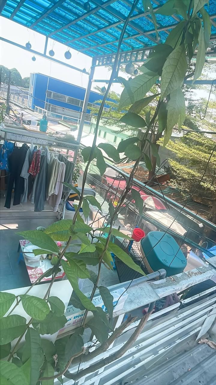 FrontHouse mặt tiền chợ Bình Long 70m² giá 11 tỷ - Kinh doanh siêu đỉnh!