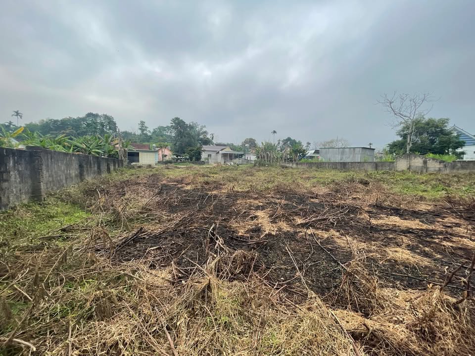 Đất nền Xã Châu Quang, Huyện Quỳ Hợp, 262m² - Đường nhựa thuận tiện!