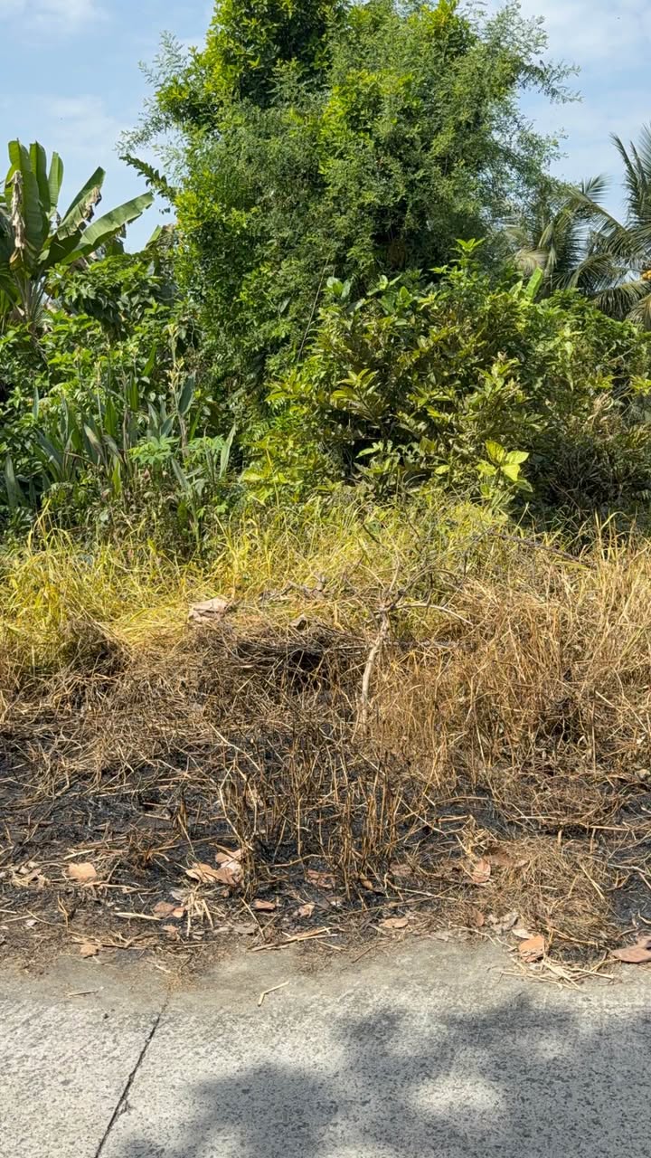 Đất nền giá tốt tại Mỹ Phước Tây, 192m², chỉ 1.3 tỷ - Sổ hồng chính chủ!