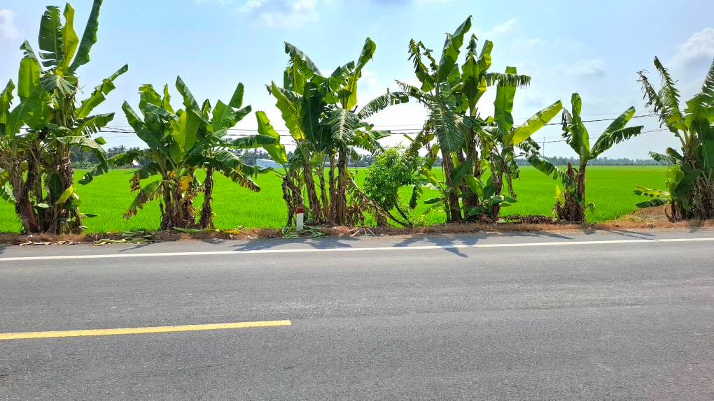 Đất mặt tiền Quốc lộ 61C, 9689m² chỉ 1 tỷ - Cơ hội đầu tư tuyệt vời!