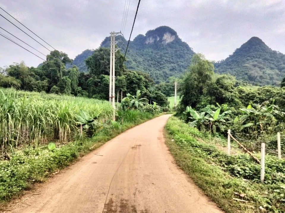 Đất nền 700m² tại Xã Phú Vinh, Huyện Tân Lạc - Sổ hồng riêng, giá chỉ 6xx triệu!