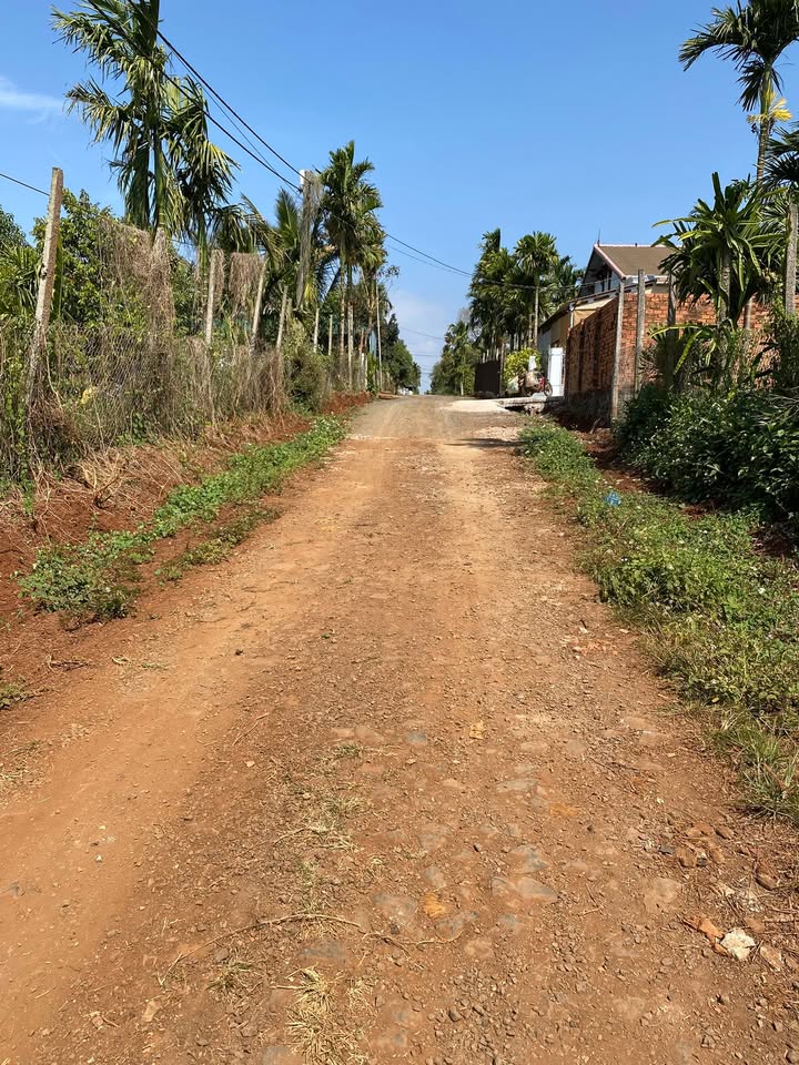 Đất nền 10x50m đường Tăng Bạt Hổ, Quận 5 - Giá chỉ 10 tỷ