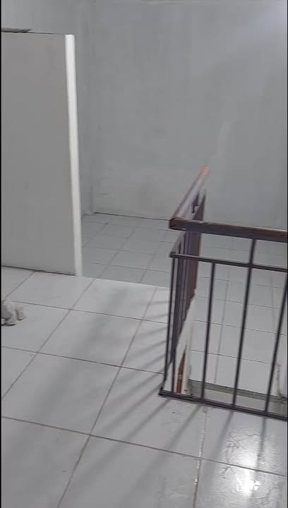 Phòng cho thuê giá tốt tại Tân Quý, Quận Tân Phú - Diện tích 38m² chỉ từ 1.8 triệu!