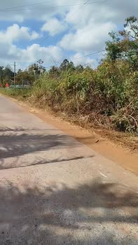 Đất thổ cư Thôn Đức Bình, Đức Mạnh 210m² giá 1.25 tỷ - Tiềm năng đầu tư lớn!