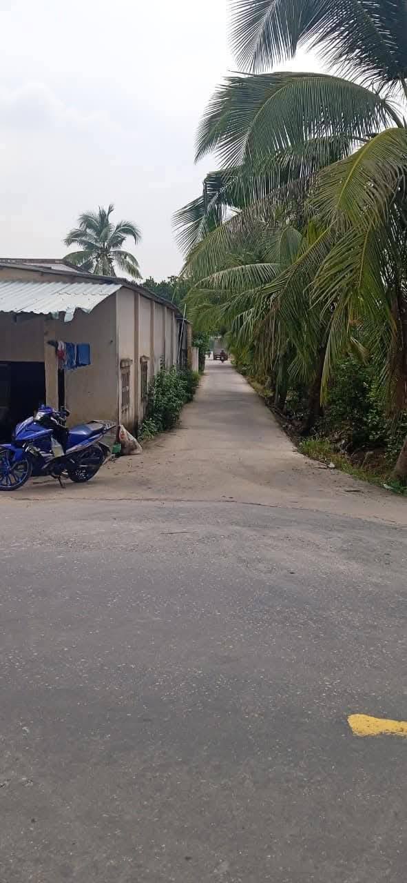 Đất nền 2000m² tại Ấp 6, Bình Đức giá 780 triệu - Sổ đỏ chính chủ, ô tô vào tận nơi!