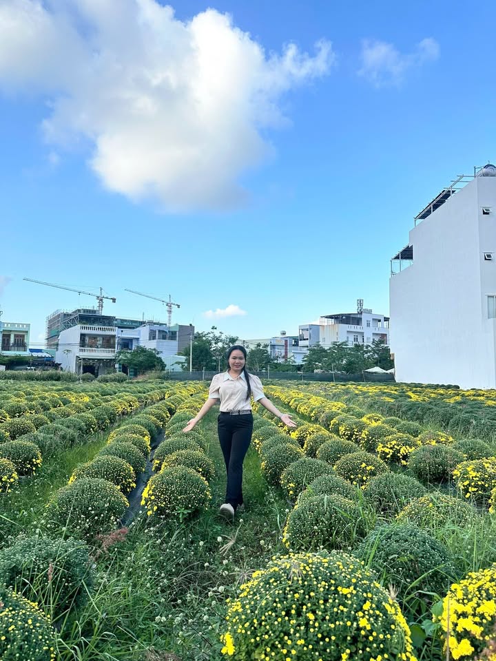 Đất nền khu Đại Phú Gia, Quy Nhơn 92m² giá chỉ 3 tỷ - Cơ hội đầu tư tuyệt vời!