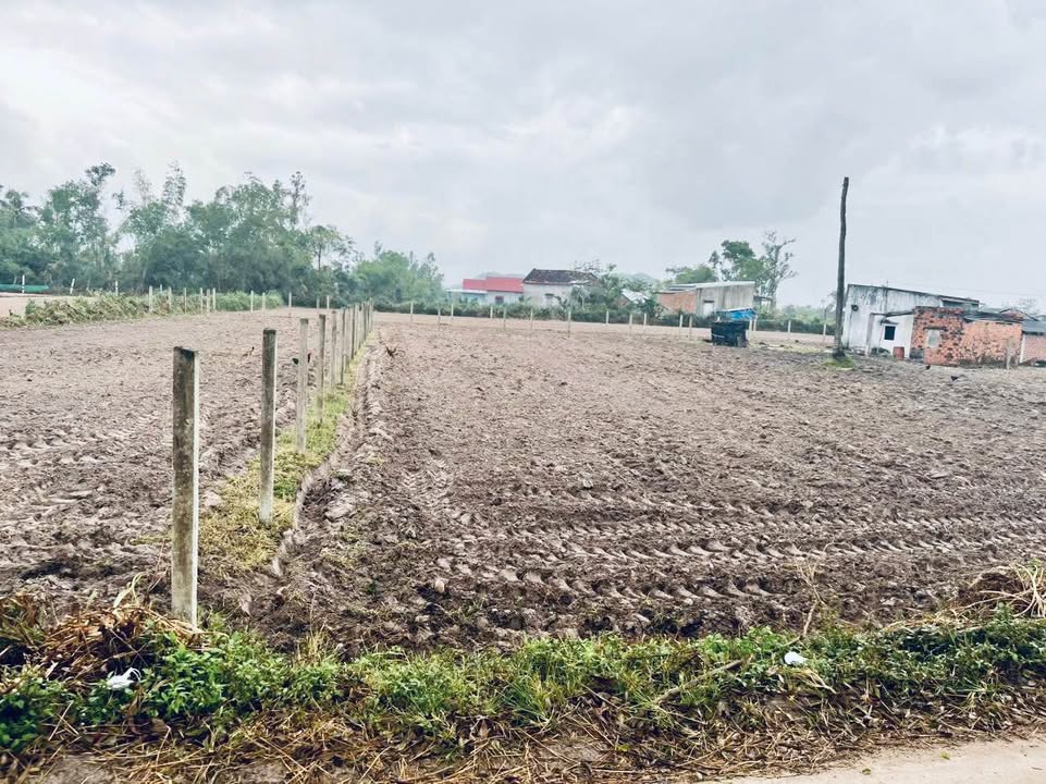 Đất nền Cát Tân, Phù Cát 521m² giá chỉ 500 triệu - Sổ hồng chính chủ