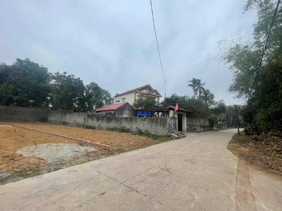 Đất nền Tân Lập, Tân Yên 163m² giá 800 triệu - Tiềm năng đầu tư lớn!