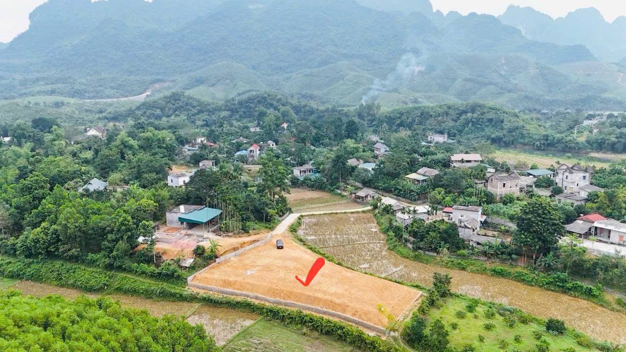 Đất 3 mặt tiền tại Xuân Thủy, Kim Bôi, 1300m² giá 1.3 tỷ - Đầu tư sinh lời ngay!