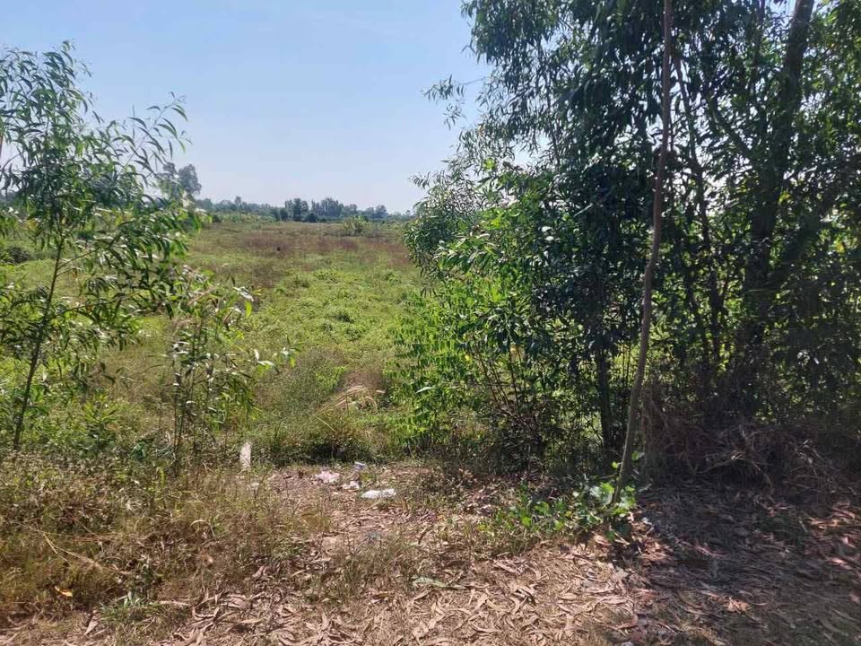 Đất vườn bờ kênh đá xanh, xã Thạnh Lợi, 7000m² giá 3 tỷ - Đầu tư sinh lời ngay!