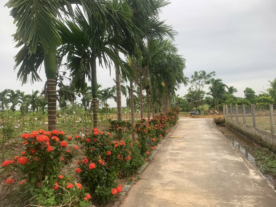 Đất nền 755m² tại xã Khánh Cường, Ninh Bình - Lô góc 2 mặt tiền, giá chỉ 800 triệu!